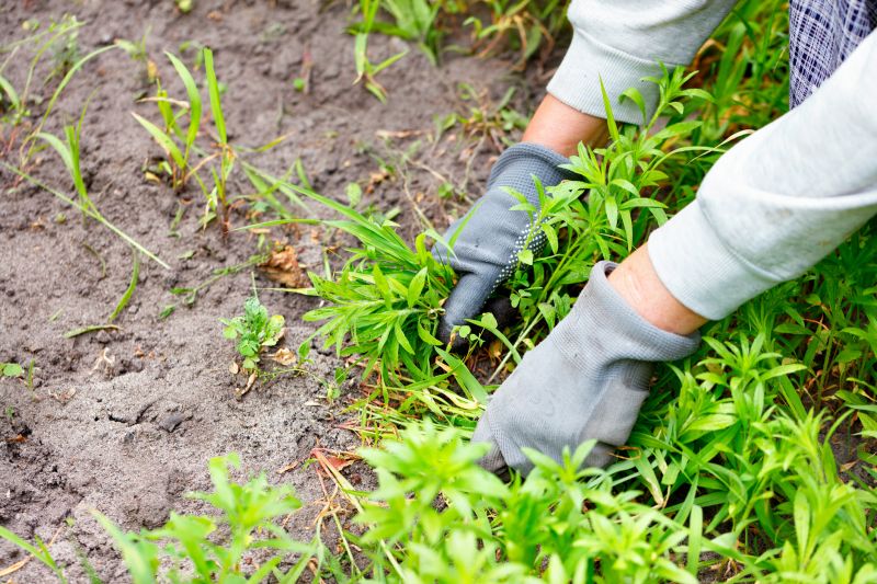 Montgomery County, PA