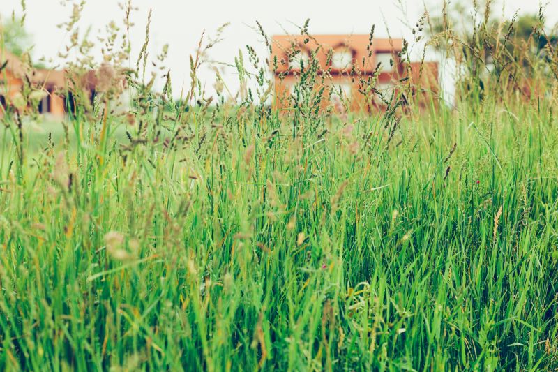 Bowie, MD