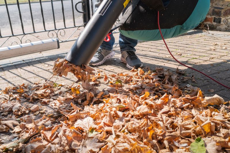 Leaf Blowing in Action