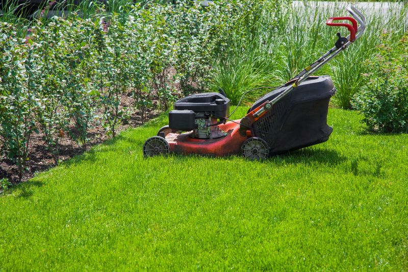 Lawn Maintenance Service
