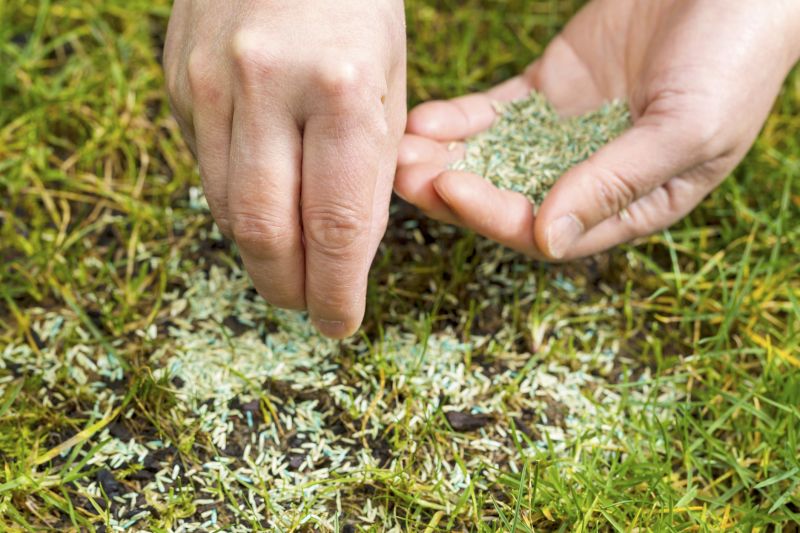 Lawn Reseeding Service in Honolulu, HI