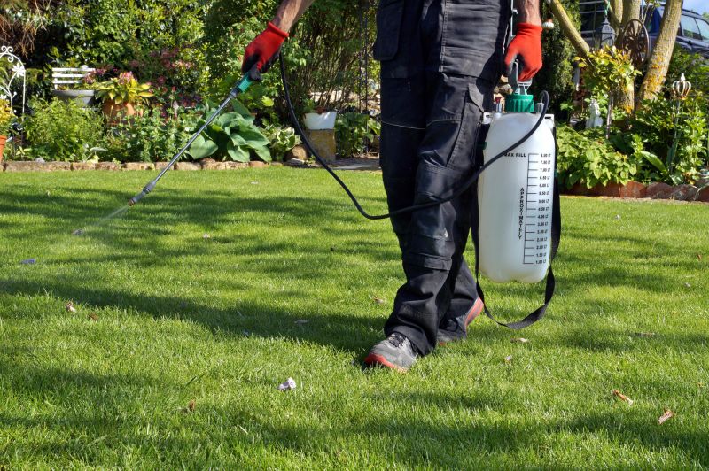 Mushroom Removal Service in Ventura County, CA