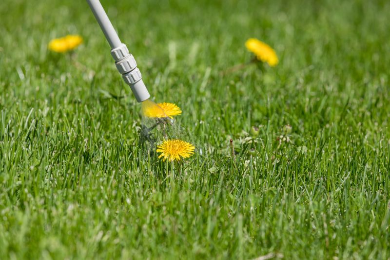 Pampas Grass Control in Ventura County, CA