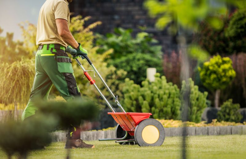 Yard Improvement Service in Ventura County, CA